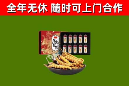 宜昌市回收冬虫夏草价格